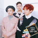 [EXO] 뮤비 스밍 중요하다