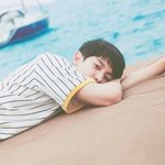 [EXO] 나 박찬열 <b>손</b>보고설렘