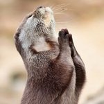 [인피니트] ㅅㄷ <b>비나</b>이다