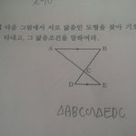 [공판] 이거 무슨 닮음<b>이양</b>? 중2!