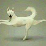 [댓글부탁해] ㅅㅂㅋㅋ대체 <b>나연</b>이랑 정국은 몇 다리를 걸친 거야