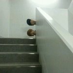 [<b>B1A4</b>] 안녕복덩이들