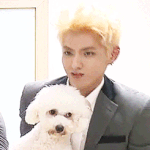 [EXO] 강아지 표정 기분나쁜거 티난다