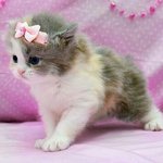 난쟁아 <b>일어</b>낫니?