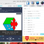 [EXO] 이렇게 스밍 돌려도 됌????
