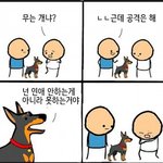 너네 패딩 뭐<b>입어</b>?