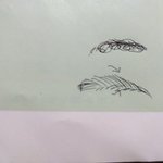 눈썹이 이상하게<b>자라</b> ㅋㅋㅋㅋㅋㅋ