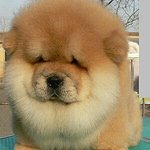 다른<b>사람인</b>스타 좋아요누르면 내가누군지앎?