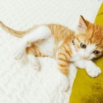 [드루와] 친구들이 내 경쟁자라는 거 <b>실감</b>할 때마다