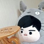 [인피니트] <b>호야</b>인형 호토로 분양해주세요