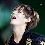 [존예보스] 방탄팬은아니지만