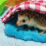 [EXO] 할 얘기가 너무 많아