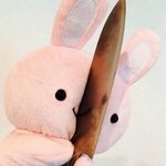 <b>오징어</b>야 징어야