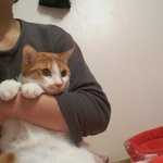 나의 동거남 <b>도칠</b>이 '새 이불'