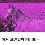 오늘 학교 개교기념일인데 갈때 추천좀..