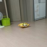 [방탄소년단] 광고야 고맙다