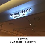 플라잉<b>타이거</b> 베스트 아이템5
