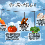 [펌] 암<b>예방</b>에 도움을 주는 음식들