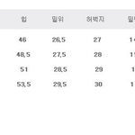[댓글부탁해] 쇼핑몰에서 바지 사는데 사이즈 좀 봐줘