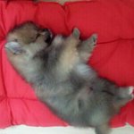 잘생긴 <b>동구</b>