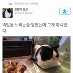 [방탄소년단] 목소리 톤 되게 좋다