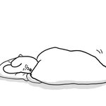 <b>올해겨울</b>에 롱패딩 유행 빼박 ㅇㅇ