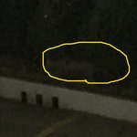 <b>하수</b>도관에 떨어져 사라진 아기 길고양이..도와주세요