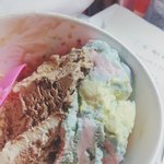 [세븐틴] ㅅㄷ숨길수없는 캐럿본능