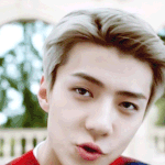 [세훈] 161108 빼빼로 이벤트-1<b>인칭</b> 영상2