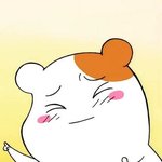 [모두드루와] 요즘 트와이스 엑소 싸움붙이는<b>새끼</b>들 왤케많지
