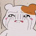 겨울철 건조한 피부ㅜㅜ