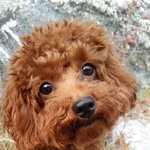 [도와주세요] 관악산 근처 <b>자주</b>가시는 분들 도와주세요 ㅜㅜ