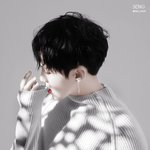[세븐틴] 호시 <b>채색</b>
