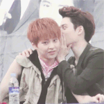 [EXO] 야 쟤네 야짤<b>보나</b>봐 (속닥속닥)