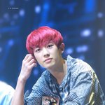 [EXO] 근데 난 엑소도 우리랑 같은 마음이라고 생각함