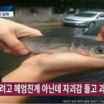 [댓글부탁해] 이거 나만 그런 거야...????