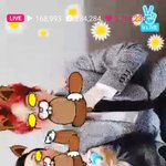 [EXO] <b>나</b><b>브</b>앱보다가