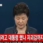 <b>이려</b>러고 한국살았나 자괴감 들고 괴로워