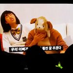 [방탄소년단] 김아미가 침멍이 이삐라<b>고부</b>른다ㅋㅋㅋㅋㅋㅋㅋㅋㅋㅋㅋㅋㅋㅋㅋㅋ