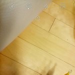 [드루와] 헐 얘들아 <b>롤리</b>캠 대박이다 ㅋㅋㅋㅋㅋㅋㅋㅋㅋㅋㅋㅋ