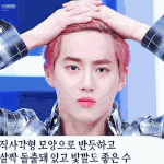 [EXO] 다틀렷ㅅ당 면<b>이임</b>