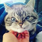 [조언부탁해] 자존심만 쎈친구는