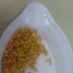 <b>팝콘</b>