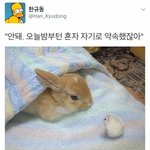 애들아 옷 <b>서랍</b>안에 오래 넣어놔서