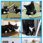 저는 집도 없고 가족도 없어요..