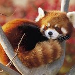 ㅁㅊ 나 <b>짝</b><b>남</b>이랑 처음으로 대화함