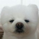 [댓글부탁해] 나 <b>일진</b>한테찍힌이유개억울함ㅋㅋㅋㅋㅋㅋㅋㅋ