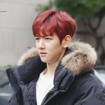 [백현] 백현이 뮤7뱅  중간<b>외출</b> 고화질