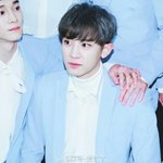 [EXO] 와 진짜 이 <b>의상</b> 다음으로 로즈1쿼츠 입혔으면