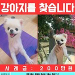 나<b>타시</b>를 찻아주세요